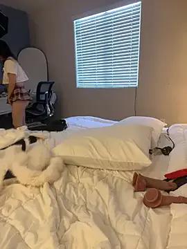 Freechat ha888we on StripChat