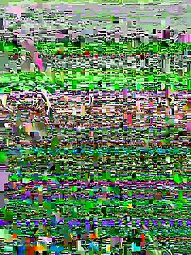 Freechat HoochieDaddy24 on StripChat