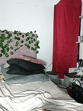 Freechat Lawrenhils on StripChat