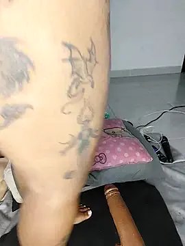 Freechat Lawrenhils on StripChat