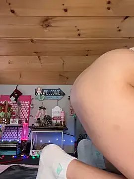 Freechat LittleLoftAngel on StripChat