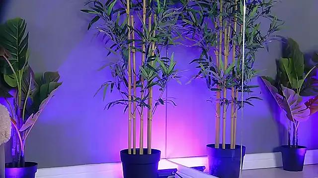 StripChat PatriciaSpice is Freechat PatriciaSpice — Sloppiest BJ