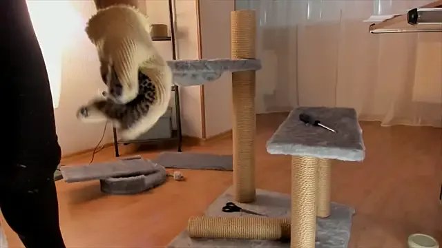 RebeccaMartinez on StripChat 