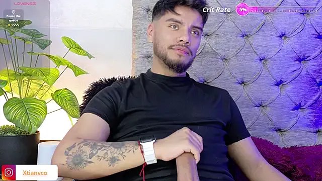 Freechat Tommidubois on StripChat