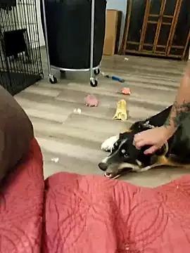 Freechat valeriejane on StripChat