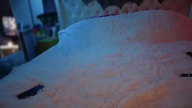 Freechat VegasDani on StripChat